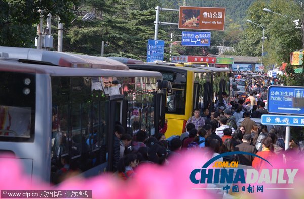 北京:香山红叶迎来赏红高峰 停车场8点就满了