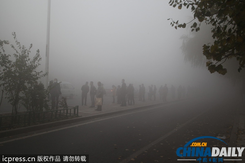 哈尔滨雾霾天气持续 学校停课公交停运