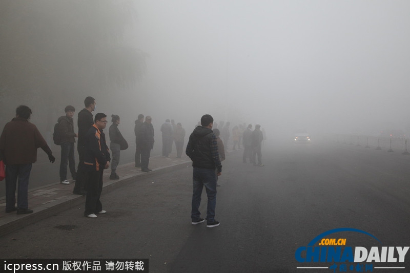 哈尔滨雾霾天气持续 学校停课公交停运