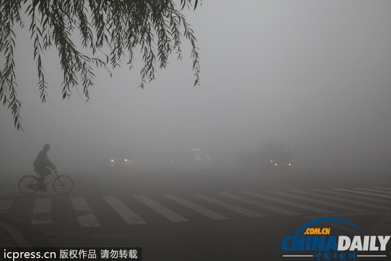 哈尔滨雾霾天气持续 学校停课公交停运