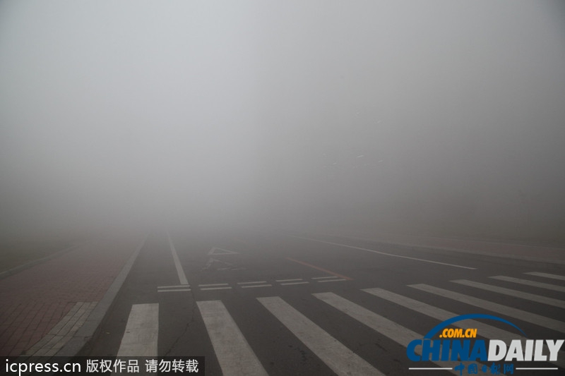 哈尔滨雾霾天气持续 学校停课公交停运