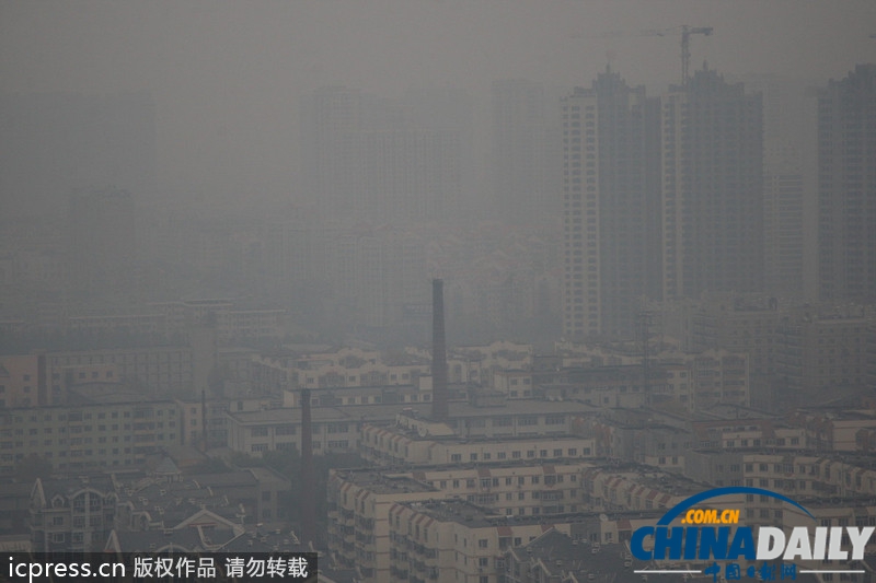 哈尔滨雾霾天气持续 学校停课公交停运