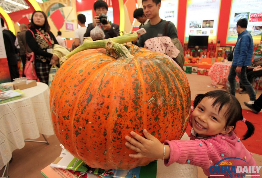 中国日报一周图片精选：11月2日—8日