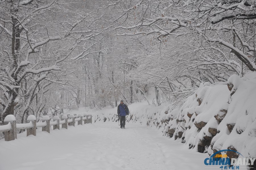 吉林气象台发布暴雪橙色预警