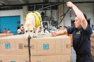 狗粮混入走私茶叶 缉毒犬肚饿“意外识破”
