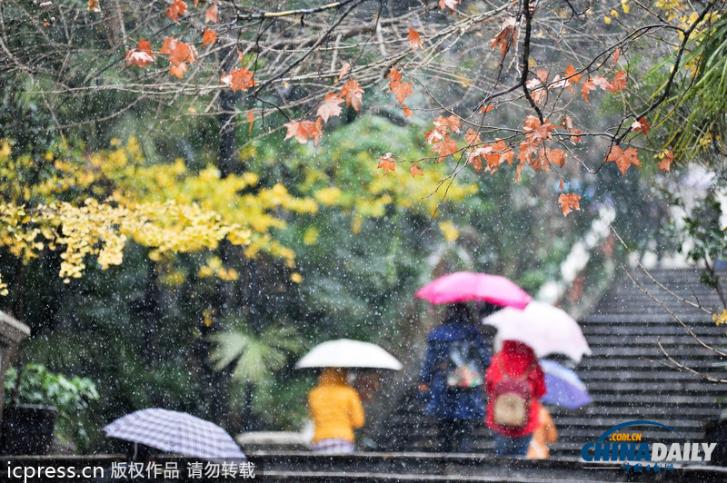 南方持续雨雪第三日 昆明机场延长临时关闭时间