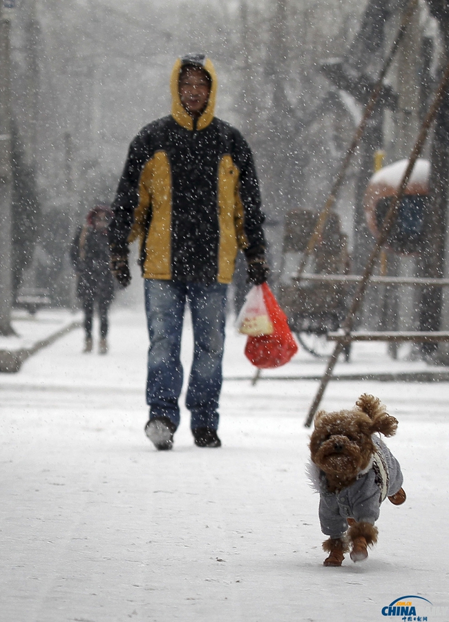 北京迎来马年新春第一场降雪