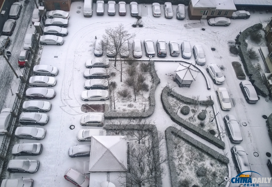 北京迎来马年新春第一场降雪