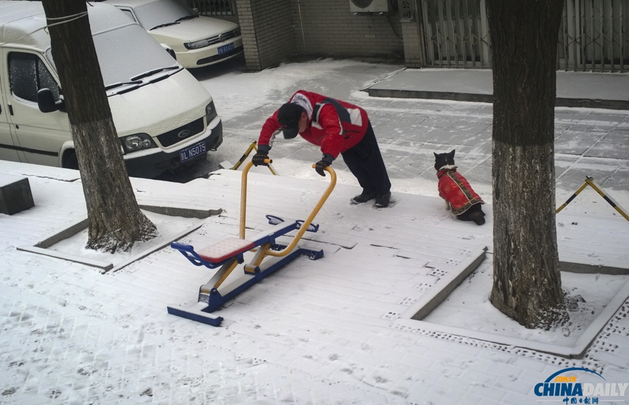北京迎来马年新春第一场降雪
