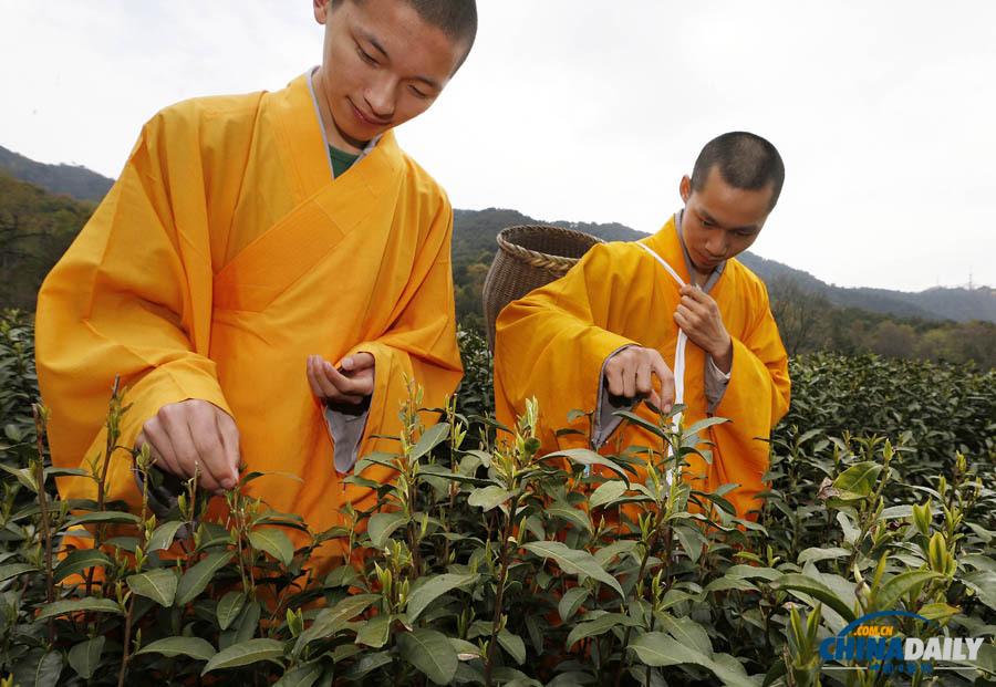 杭州古刹法净寺的僧人敲着木鱼