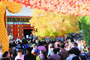 香山游客单日破21年纪录