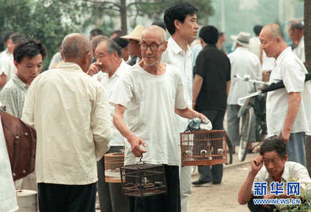 在记忆中寻找老北京