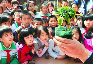 小学生比赛种植太空植物
