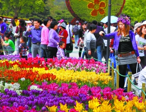 北京植物园“五一”迎来5万赏花人[图]