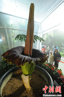 北京植物园