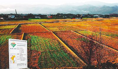 国土资源部部长:正视我国土地问题的三个“难以为继”