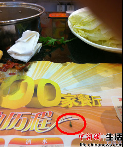 北京呷哺呷哺连锁店吃出活虫 自称卫生清洁第一
