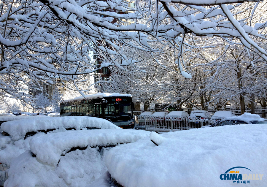 中国日报直击北京三月春雪