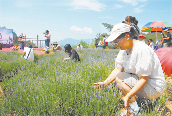 与你畅游“花花世界”：密云，一个让心灵绽放的地方