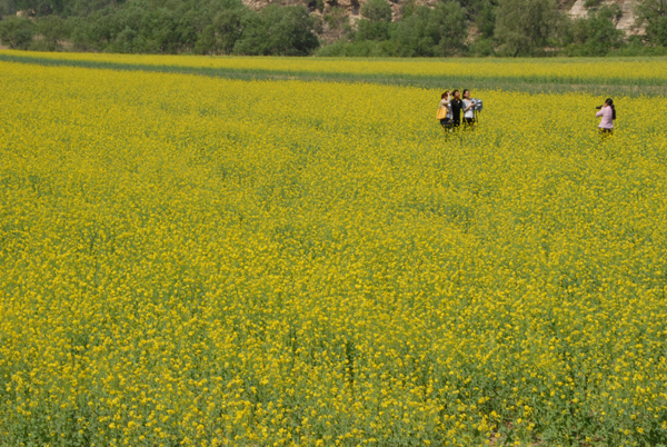 与你畅游“花花世界”：密云，一个让心灵绽放的地方