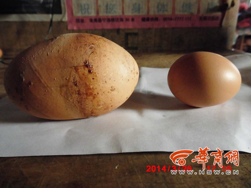 本科毕业就能国外申请博士 首经贸2014年将打