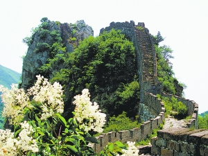 怀柔响水湖大峡谷漫山丁香映长城[图]