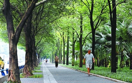 北碚打造生态休闲走廊