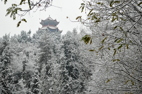 城口普降大雪