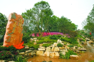 主城绿化覆盖率39.80% 今年新增公园绿地1000万㎡