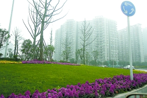 主城绿化覆盖率39.80% 今年新增公园绿地1000万㎡