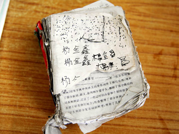 网民捐助“爱心字典”照亮农村娃求学“希望之路”