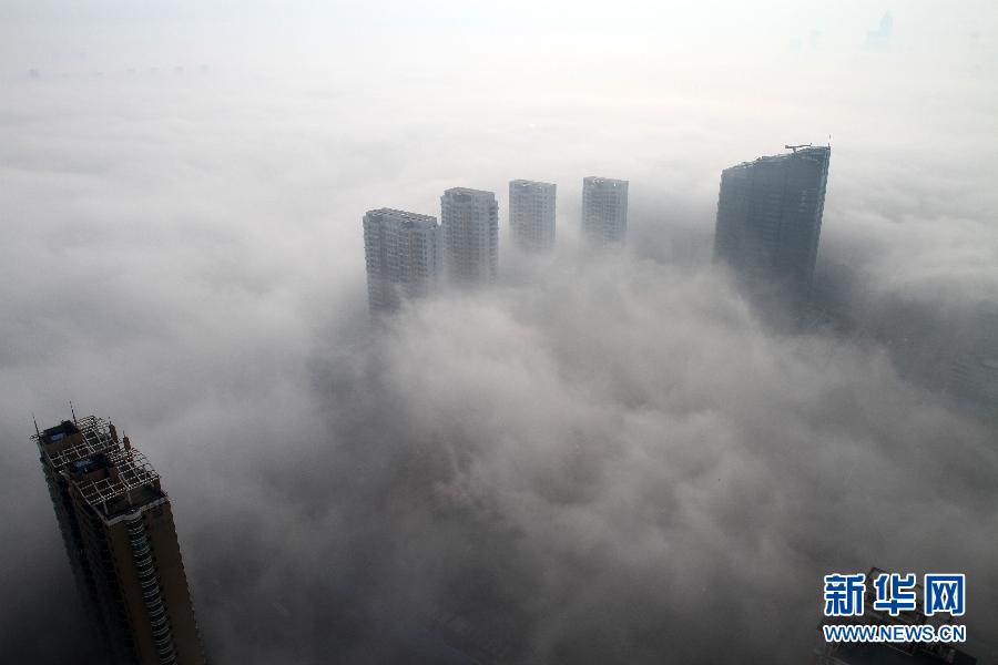 渝不再受理旅游行业外的导游证申请 规范行业