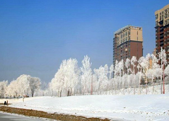 重庆市任免一批干部 祝轻舟任市财政局副局长