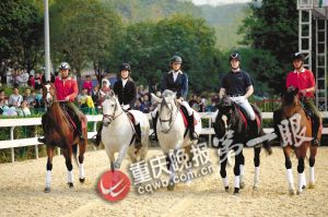 重庆马术队将落户巴滨路马术中心 可免费看千万元纯种马表演