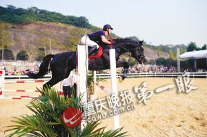 重庆马术队将落户巴滨路马术中心 可免费看千万元纯种马表演