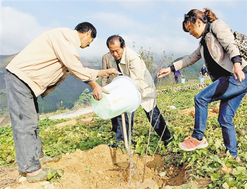 绿化长江 建设生态重庆 重庆开展秋季植树活动
