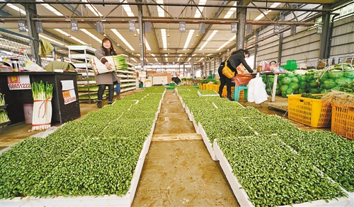 双福农贸城 50万吨农产品保“双节”供应