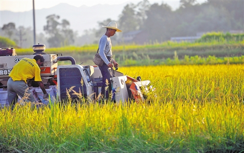 重庆市构建新型农业经营体系助推现代农业发展