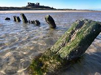 重庆直飞悉尼航班12月开通 成渝航班四年后再