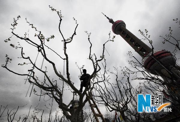 世博会：6000多万盆鲜花装点申城