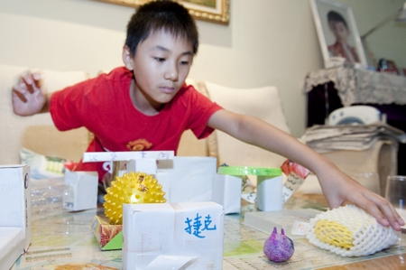 9岁男孩6进世博做记者 废纸盒做出12场馆(图)
