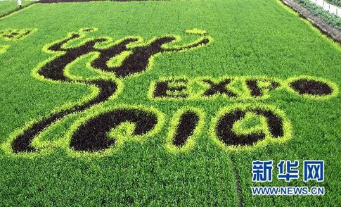 水稻“世博印”亮相上海(图)