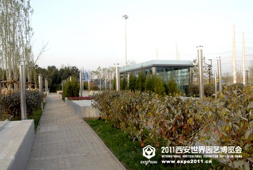 加拿大多伦多大学
