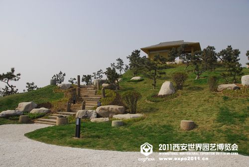 盆景园