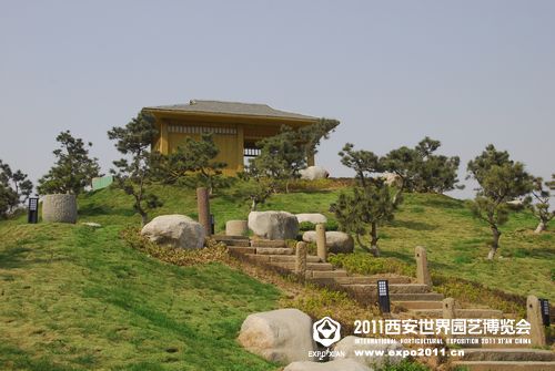盆景园