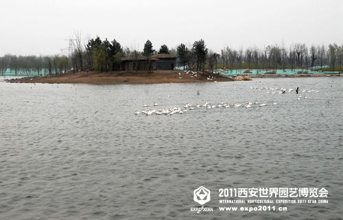 天鹅湖展园