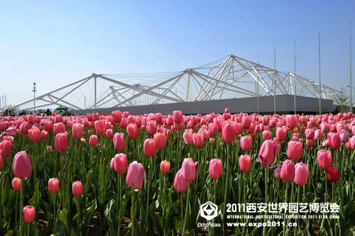 四大标建