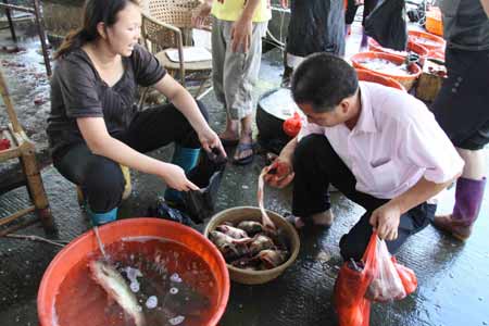 紫金污水泄漏重创当地渔业（组图）