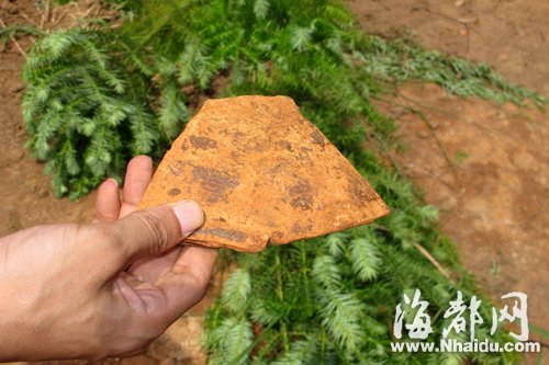 闽侯一工地发现史前遗址 距今4000年左右(图)