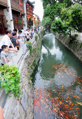 福州投资20亿整治内河 提升河岸生态景观